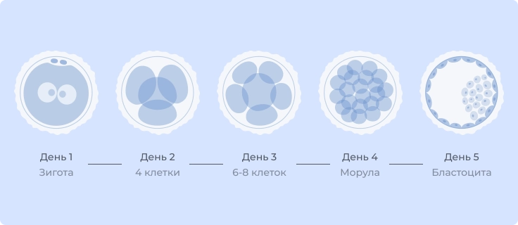 Культивирование